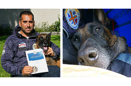 Symba: sikeres címvédés a mestervizsgán - jöhet a világbajnokság!