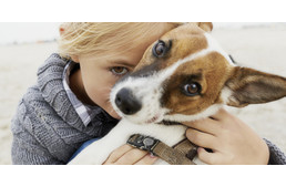 Kutyáink imádják a szagunkat