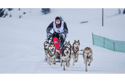 Erdélyi magyar katolikus pap lett kutyaszánhajtó világbajnok