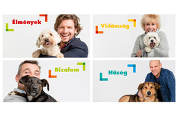 Hírességek sztárolják az örökbefogadásra váró kutyákat és cicákat