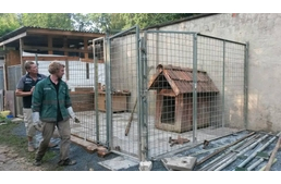 Új rekord! – Rengetegen mentek segíteni a menhelynek