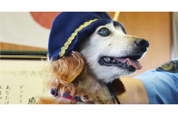 Kitüntettek egy 17 éves tacsit Japánban a bátorságáért