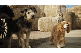 Igazi tündérmese: menhelyi kutya kapta a főszerepet a Susi és Tekergő feldolgozásában