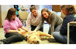 A kutyás foglalkozások segíthetnek az egyetemistáknak megbirkózni a stresszel