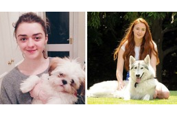 Tudtad, hogy a Trónok harca színészeinek nagy része óriási kutyabarát?