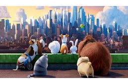 Jön a Kis kedvencek titkos élete folytatása!