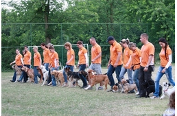 Tényleg görbe az a tükör?