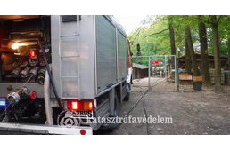 Tűz ütött ki a kutyamenhelyen - két kutya is odaveszett