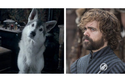 A Trónok Harca sztárja felemelte a hangját a huskyk védelmében