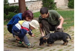 A tacskó, az utánkeresés és az óvodások
