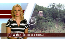 Vadász lőhette le a kutyát