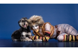 Macskák segítenek az árva kutyáknak - színészek pózoltak a menhelyi kutyákkal