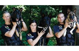 Négylábú szuperhősök - hihetetlen és megható történetek a K9-es kutyák világából