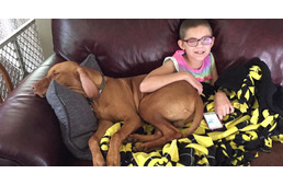 Egy kis vizsla, aki megváltoztatta egy rákos kislány életét