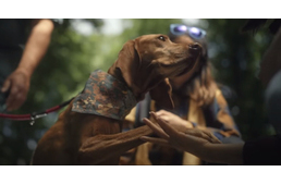 Magyarország visszavár - újabb gyönyörű videóval üzen a Magyar Turisztikai Ügynökség