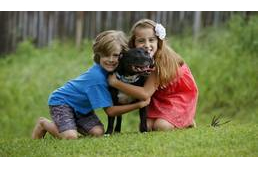 14 kutyafajta a család védelmére