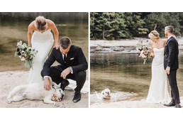 Így lopta el a showt egy kutya a gazdái esküvőjén