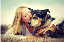 Mire tanítanak az idős kutyák?