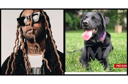 Le akarta szállíttatni a rapper a vak nőt a repülőről vakvezető kutyája miatt