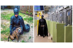 Maga Batman menti a menhelyi kutyákat