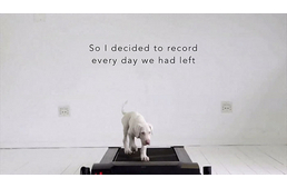 Megható videó: A Pegasus Project