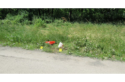 Állatkínzót fogtak: újszülött kölyökkutyákat hagyott az út szélén, zacskókban