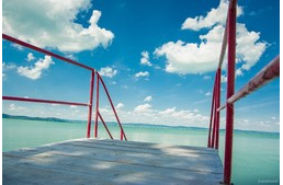 Zamárdiban is lesz kutyabarát strand?