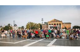 Óriási kutyás tömeg vonul fel Budapest utcáin a hétvégén