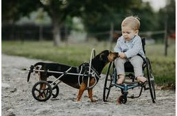 Szívmelengető fotó: az élet nem csak a járással lehet teljes!