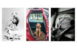 Fotópályázat 2015 - Íme a nyertesek!