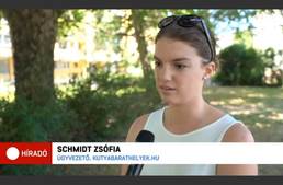 ATV - Kutyabarát szálláshelyen ütött agyon egy kiskutyát a tulajdonos ATV - Kutyabarát szálláshelyen ütött agyon egy kiskutyát a tulajdonos