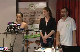 Hír TV -  Kutyabarát minősíttetést szerezhetnek  