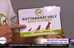 M1 Híradó - Kutyabarát hely védjegy