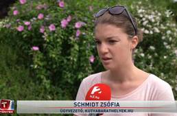 TV2 - Vascsővel verte agyon a kutyát TV2 - Vascsővel verte agyon a kutyát