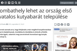 nyugat.hu - Szombathely lehet az ország első hivatalos kutyabarát települése nyugat.hu - Szombathely lehet az ország első hivatalos kutyabarát települése