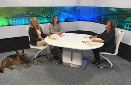 Szombathely TV - Szombathely MA Szombathely TV - Szombathely MA