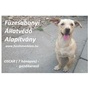 Füzesabonyi Állatvédő Alapítvány